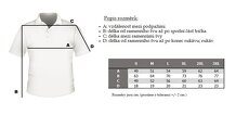 Nová pánská trika Ralph Lauren - 5 kusů - 2