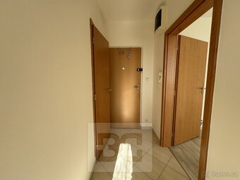 Pronájem byty 1+1, 35 m2 - Brno - Kohoutovice, ev.č. N08043 - 2