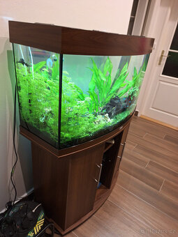 AKvárium Juwel 180 - 2