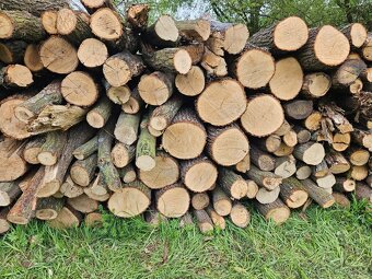 Palivové dřevo tvrdé metrovky skladané - 2