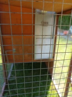 Kurník + automatická dvířka - 2