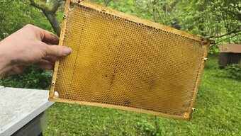 Včelí souše 39x24 - 2