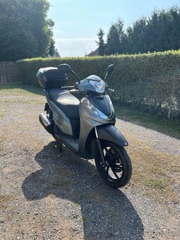 Honda 300i sh - 2
