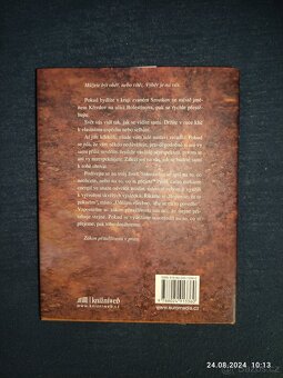 Kniha - Navzdory všemu - Lisa Nichols - 2