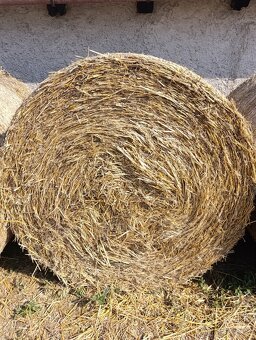 Sláma kulaté balíky - 2