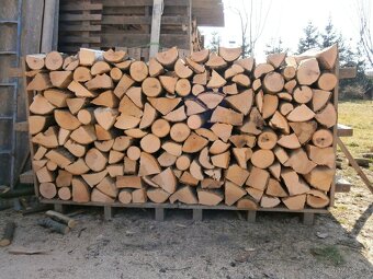 Prodám suché tvrdé palivové dřevo jasan štípy. - 2