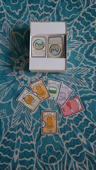 Kočičí klub hra - 2