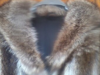 kožich mýval, norek - 2