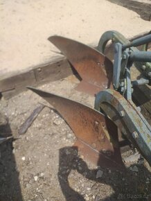 Pluh třiradličný - 2