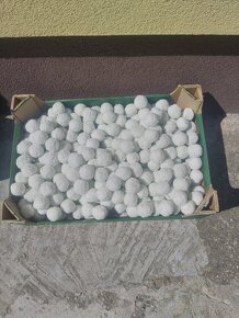 Prodám napln do cirgulace - 2