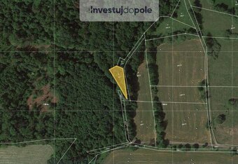 Prodej lesu v k.ú. Valkeřice - 2