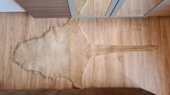 Pravá klokaní kožešina z Austrálie (3) - 2