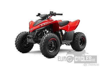 CFMOTO Gladiator X 110 LE - 2