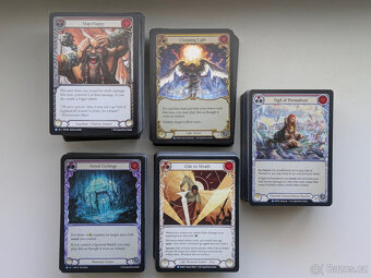 Flesh and Blood karty (F&B) - 2