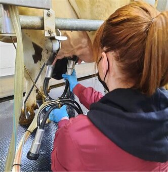 Traktorista / stájník / dojička (HPP) - 2