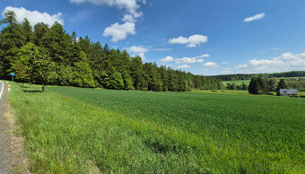 Prodej pozemku 7429 m2 v malebné krajině v obci Borová - 2