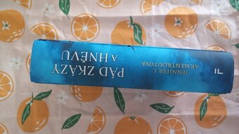 Pád zkázy a hněvu, young adult, new adult, fragment - 2