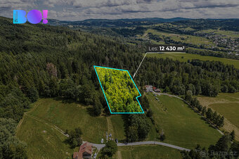 Prodej lesa, 12430 m², Písek - 2