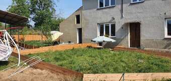 Želva pardálí, želva uhlířská. - 2