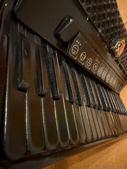 Prodám Royal Standard Montafana - 2