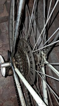 Dámské kolo eska - 2