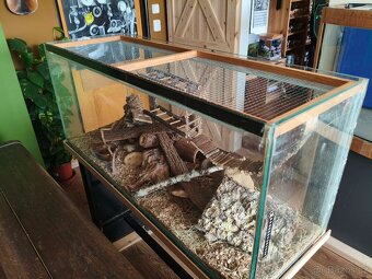 Terárium - 2