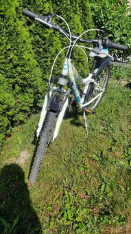 Kolo Dema vel.24 - 2