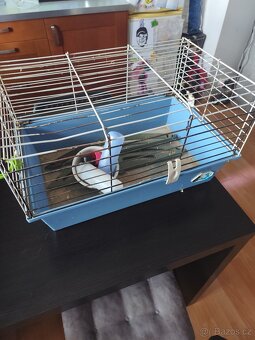 Klec pro králíka nebo pro morčata - 2