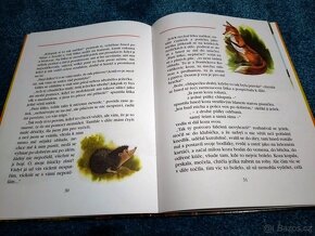 Dědečkovy pohádky - 2