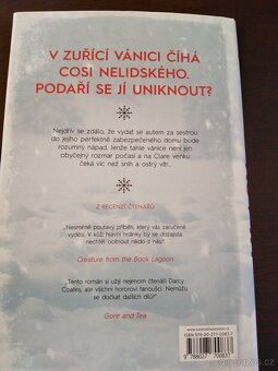 Hlasy v bouři- Darcy Coates - 2