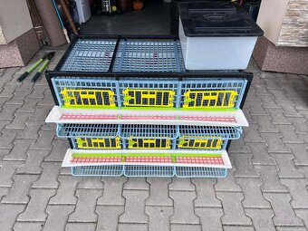 Klec pro křepelky - 2