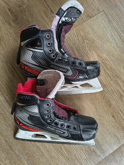 Brankářské brusle - 2