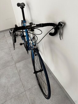 Colnago Primavera - 2