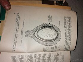 Retro starožitné lékařské knihy a latina - 2