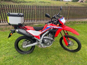 Honda Crf 300 L - 2