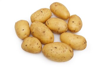 BIO brambory Adéla za 8 korun za kilogram - 2