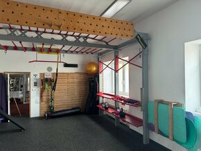 TRX® STUDIO LINE - Bridge konstrukce - 2