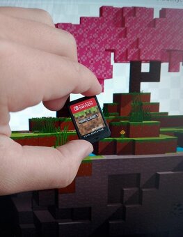 Minecraft - Nintendo switch - 2