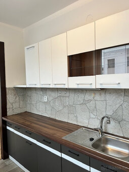 Pronájem bytu 3+1, Jiřího Potůčka, Trnová,  17.000 Kč/měs, 7 - 2