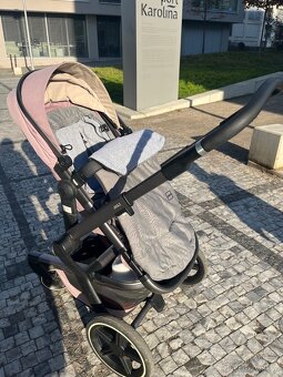 Kocarek Joolz day - 2