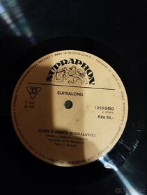 Gramofonová deska Jiřina Bohdalová - 2