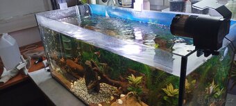 Prodám kompletní akvárium - 2