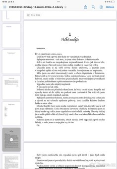Binding 13 PDF - 2