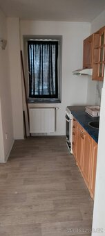 Pronájem bytu 1+1 Kryry - 2