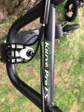 Kawasaki Kurve Pro FS - 2