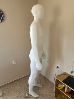 Pánská figurína, manekýn 187 cm - 2