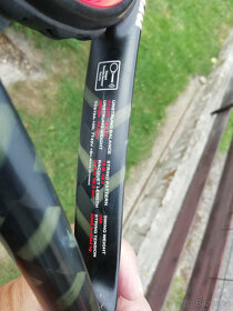 Prince Beast 300 g- grif 2 - 2