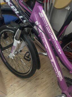 Dívčí kolo vel.24 - 2