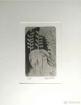 Vladimír Komárek - grafiky 2.část - 2