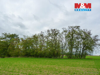 Prodej lesa v Drahobuzi - 2